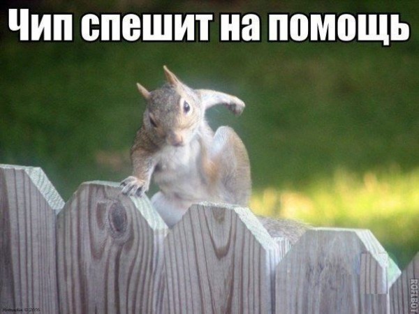 Картинки