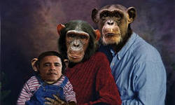 Белый дом взял Россию за горло