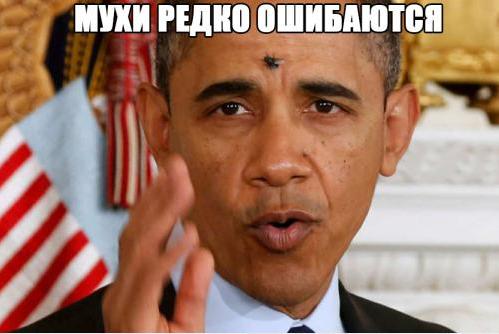 Популярные мемы на ЯПе