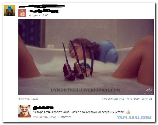Подборка весёлых картинок