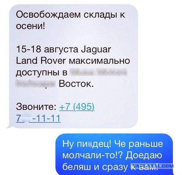 Весёлые картинки