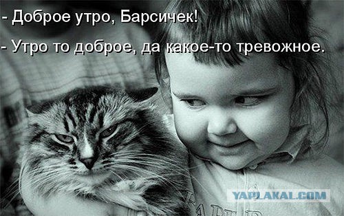 Ты чего дерзкий такой?!