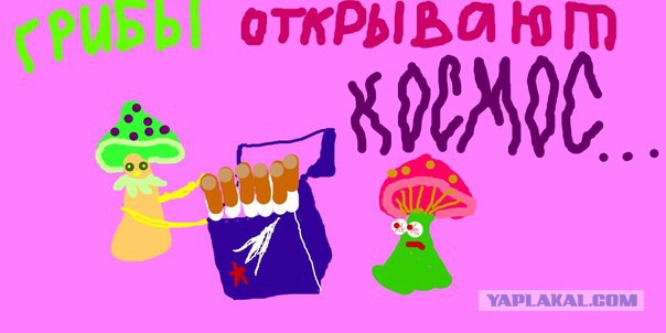 Любимая ГРИБОСРЕДА – опять нас радует всегда!