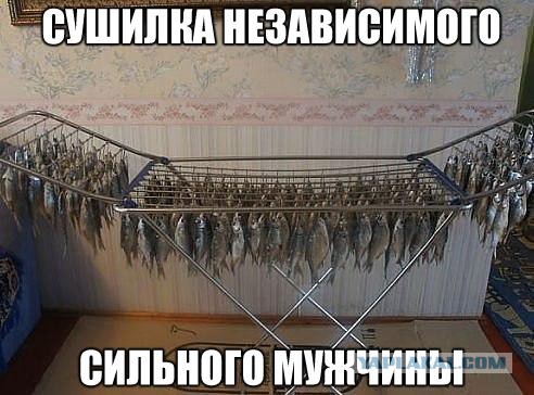 Прикольные картинки из сети