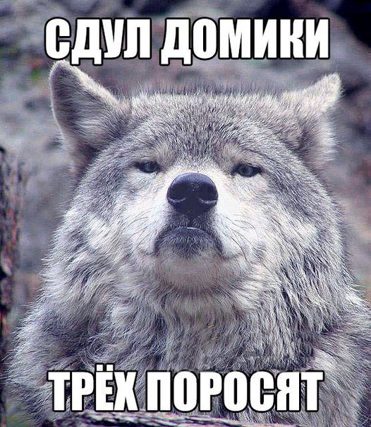 Придет серенький волчок