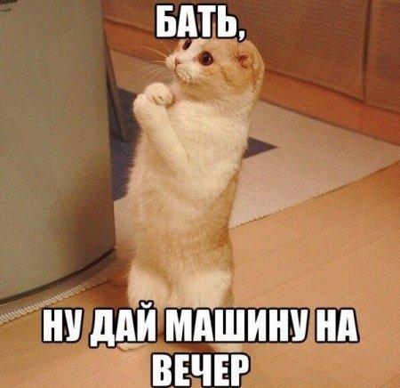 Подборка забавных картинок