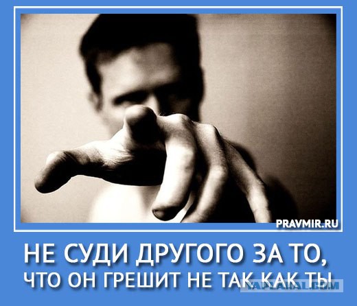 Завелись соседи...