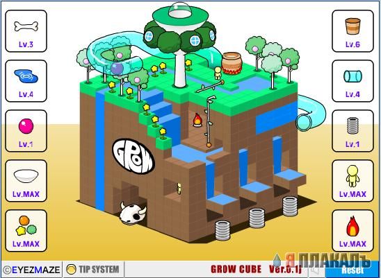 Grow Cube