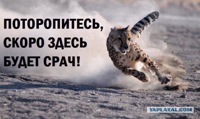 Дедушка и инспектор