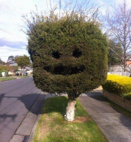 Картинки разные.