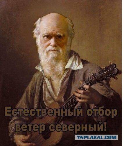 Нападения животных на людей