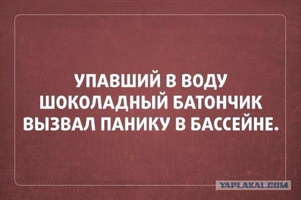 Весёлые картинки