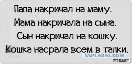 Прикольные и веселые картинки
