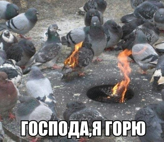 Слегка чёрный юморок