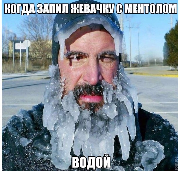 Подборка безудержного веселья