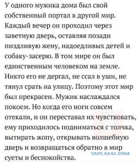 Субботняя порция перлов, высказываний, котоламповых историй