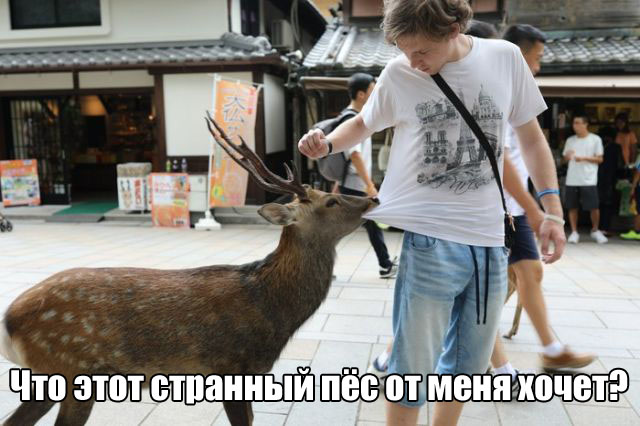 130 картинок для поднятия настроения!