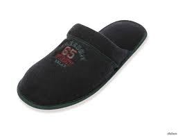 Королева мух