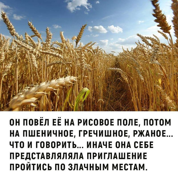 Чёрный вторник наступил! Тёмные силы вырвались на свободу...
