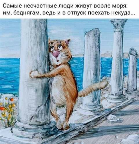 Немного картинок 28.06