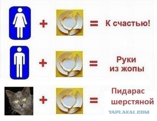 Пьющий кот - горе семье!