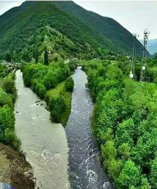 Солянка