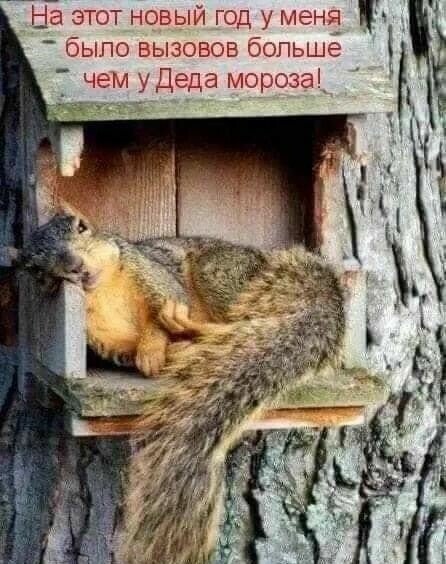 Прикольные и просто красивые картинки 09.02.2021