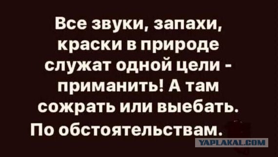 Картинки и мемы для настроения 011