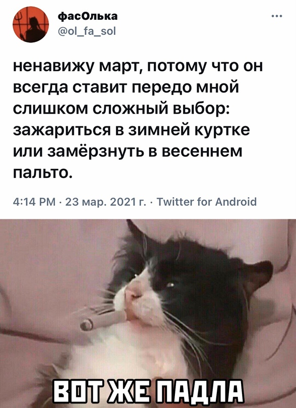 15387225.jpg