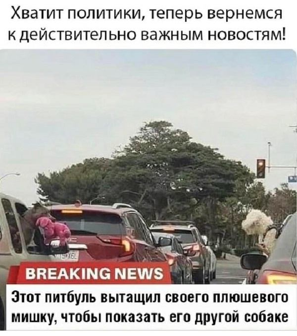 Картинки с надписями и всякие жизненные фразы 25.04.21