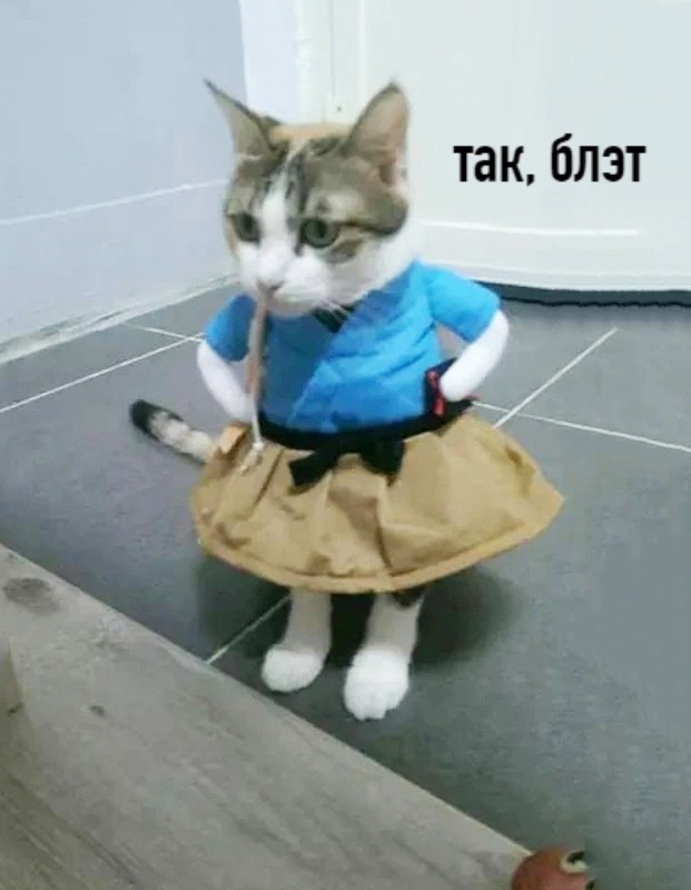 Картинки о животных, прямо и косвенно