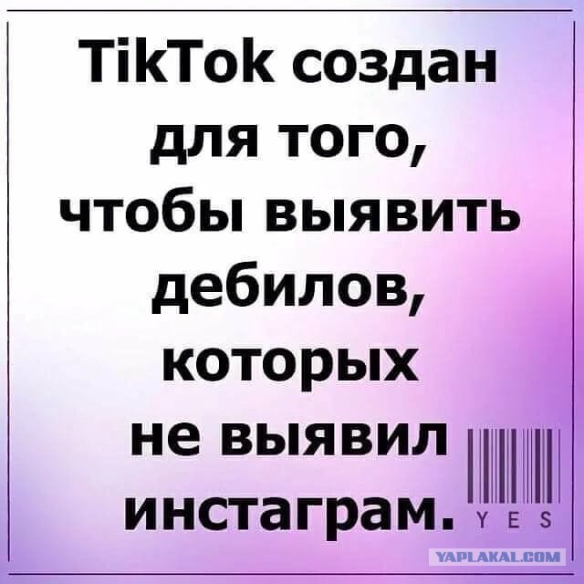 5 причин, почему директора магазинов избегают брать на работу "поколение ТикТока"