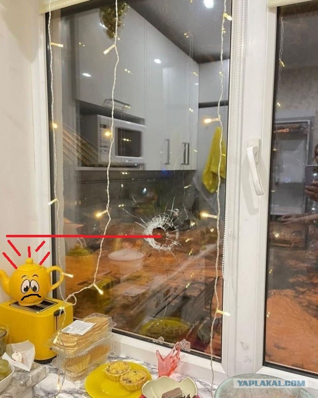 Сигнальная ракета прилетела в новогоднюю ночь в окно семье из Петропавловска-Камчатского