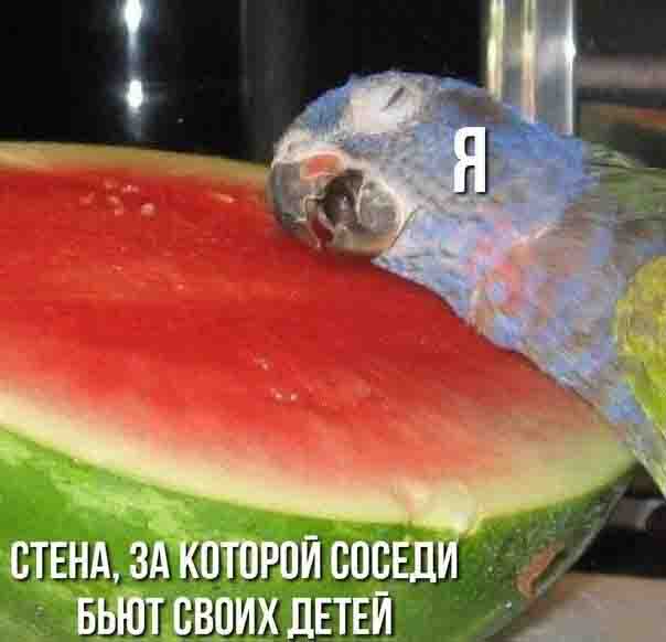 Чёрно-пошлая деградация на вторник