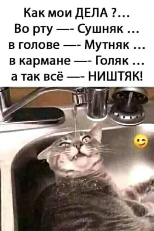 Алкопост 9.07.22