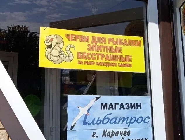 Весёлый полтишок 08.08.22