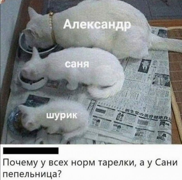 Юмор в картинках и без 23.06
