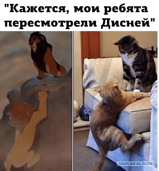 Так себе картинки 08.07.23