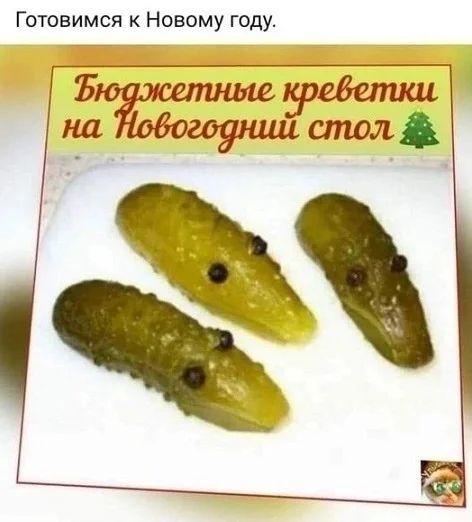 Приколы с налетом деградации