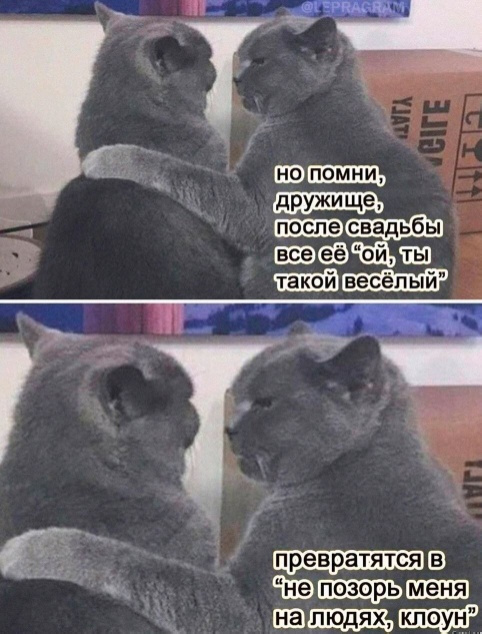 Так себе картинки 13.06.24