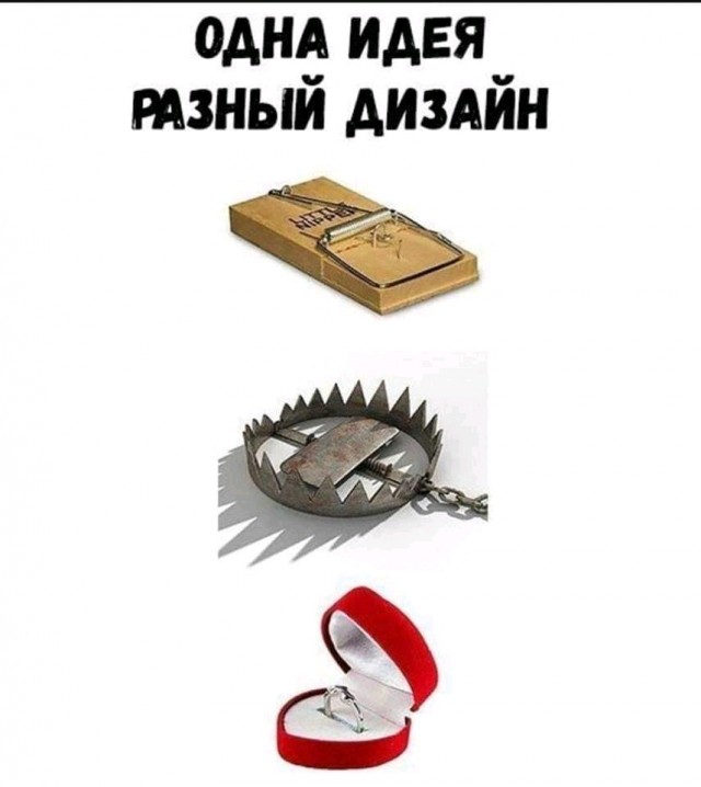Прикольные и просто красивые картинки 01.11.2024