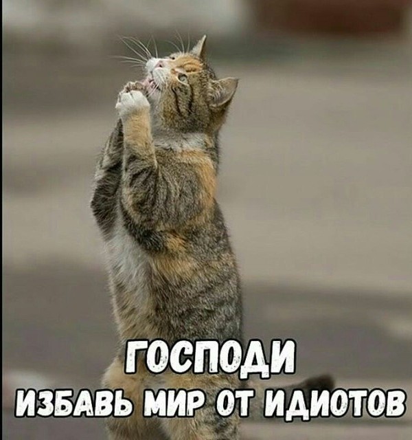 Россияне проживут и без YouTube, уверены в Госдуме