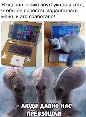 Всего понемногу. От 24.01.25