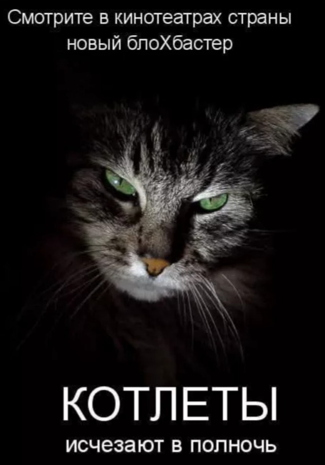 К котовторнику: подборка картинок-баянов с котиками и про котиков. Выпуск 13