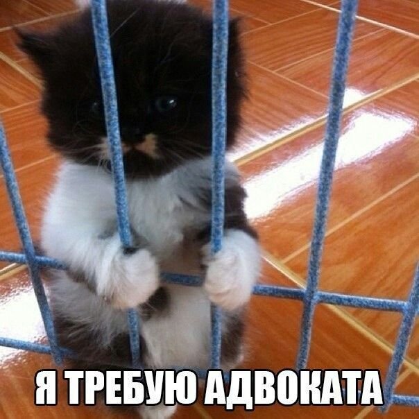 У Долиной все же отберут квартиру? Полина Лурье не стала терпеть и подала заявление в суд - новые детали в «квартирном» деле