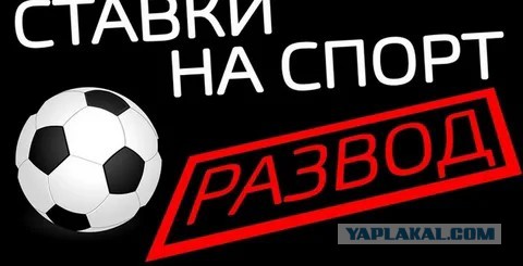 Ставка зашла