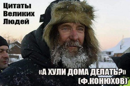 Как путешественник решает вопросы с медведями