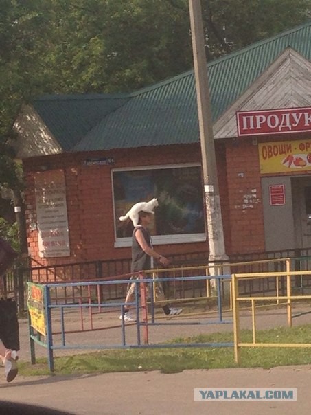 Веселые картинки.