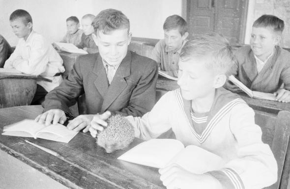 Советские школьники 1950-х