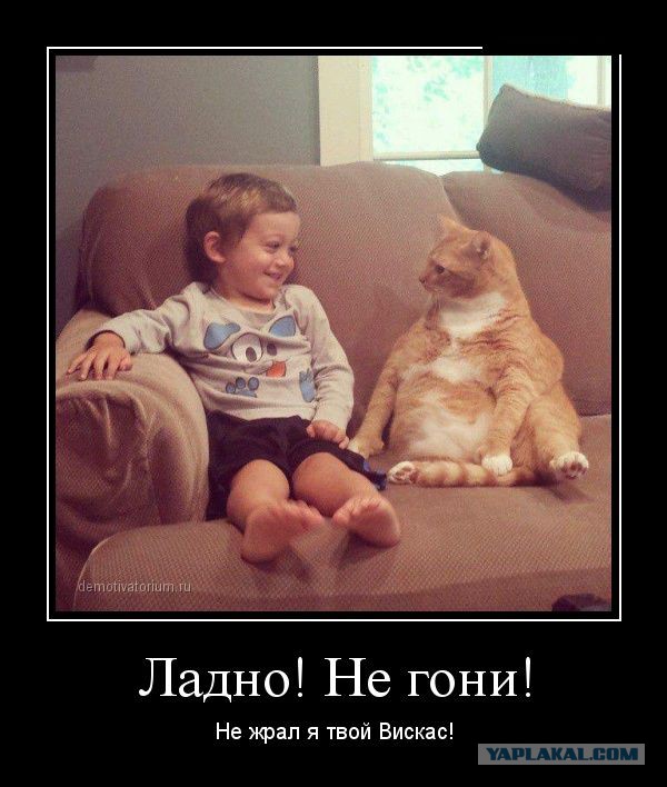 Поднимаем настроение